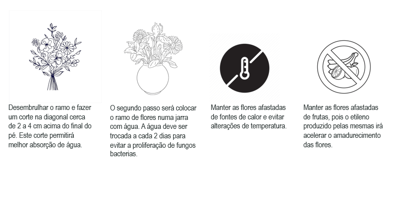 Como Cuidar De Flores