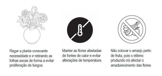 Cuidados