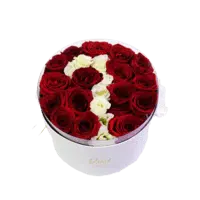 Caixa De Flores Com Numeros Onine