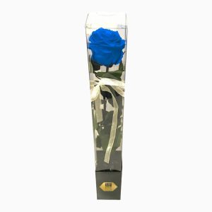 Rosa Azul Preservada