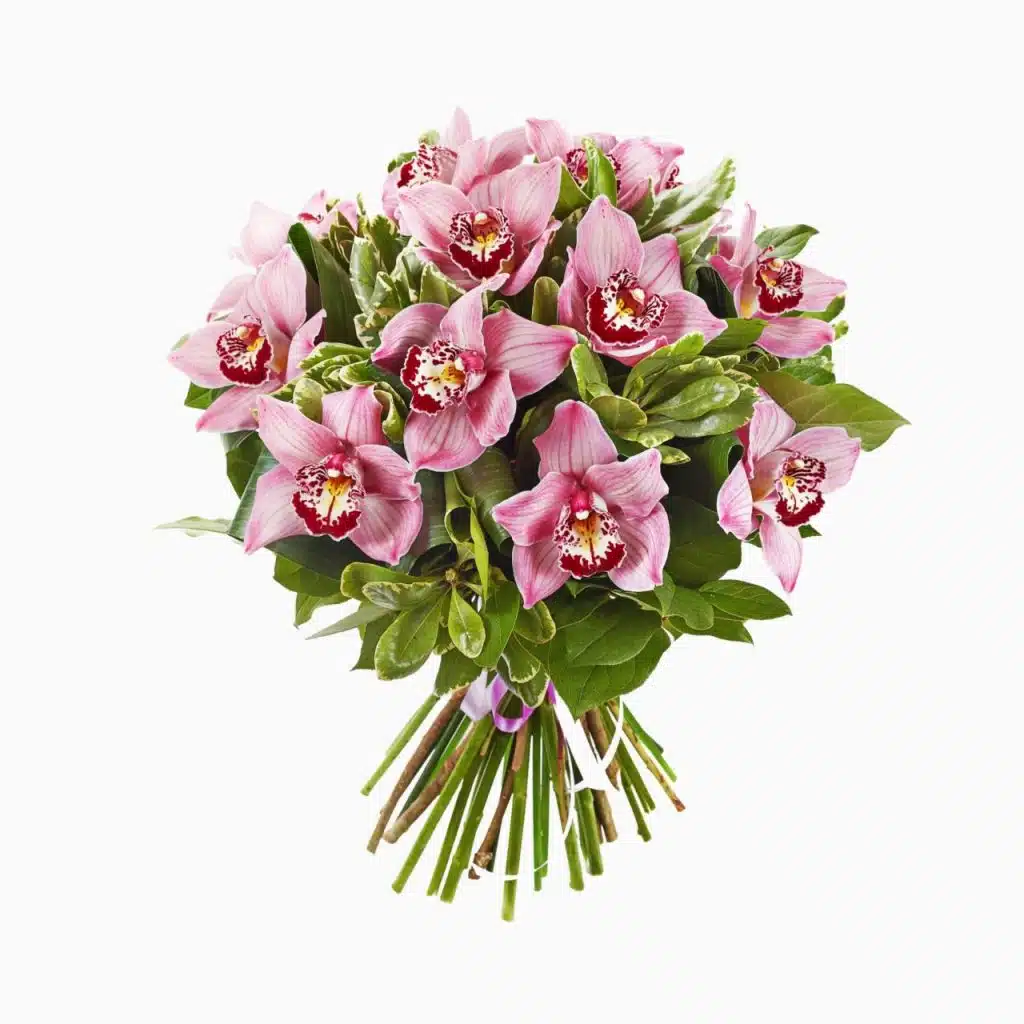 Bouquet De Orquideas