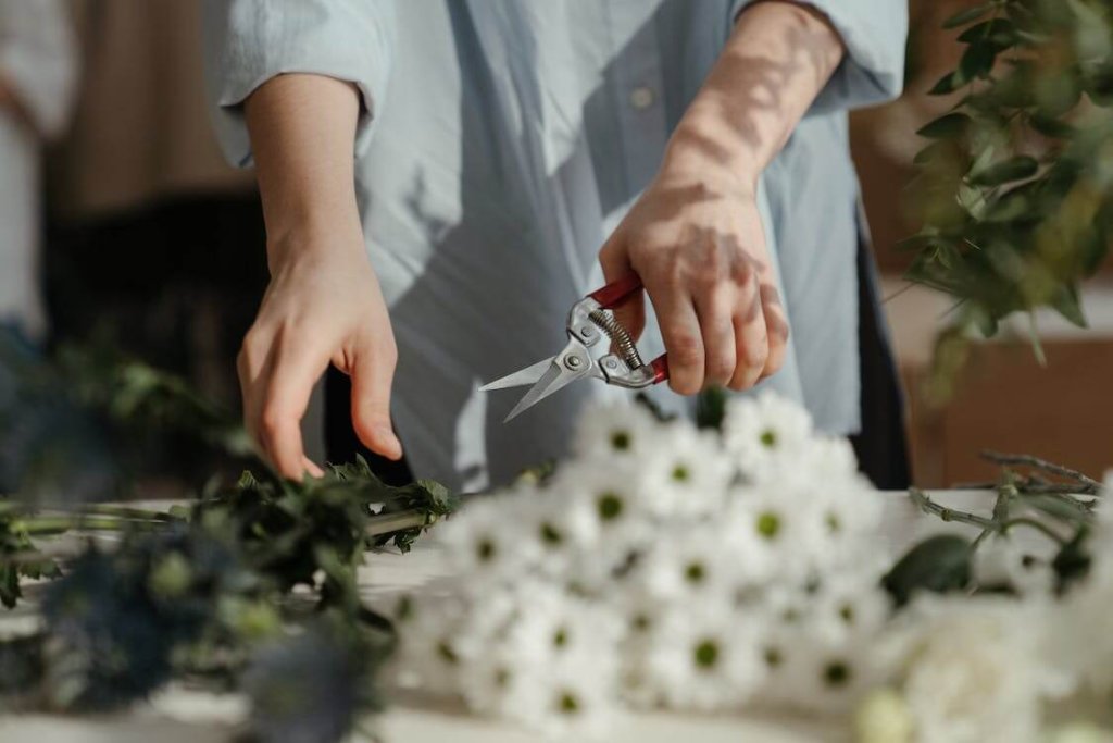 Florista Com Margaridas