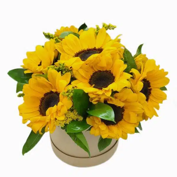 Caixa De Flores Com Girassóis