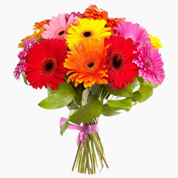 Gerberas à Carta
