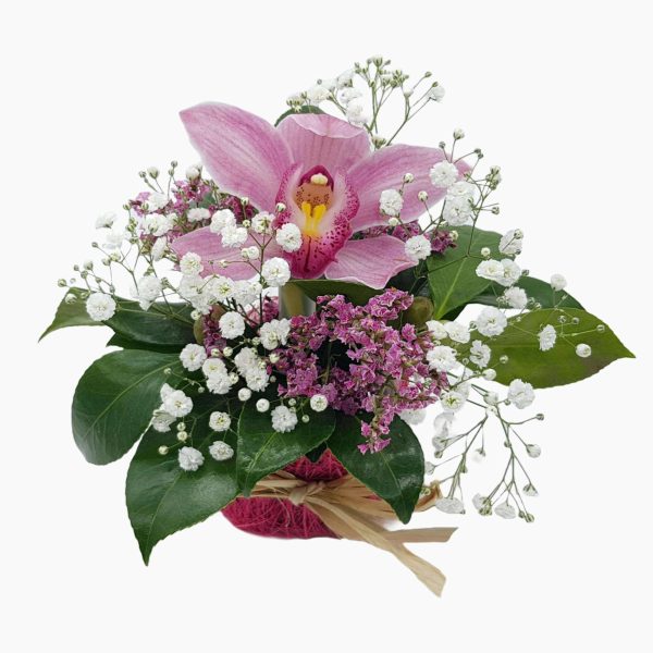 Orquídea De Rua Em Centro