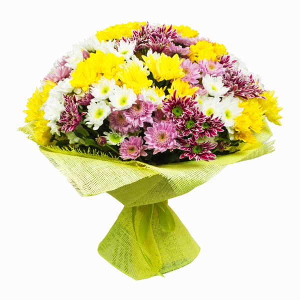 Bouquet De Margaridas Coloridas