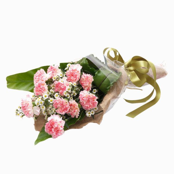 Ramo De Cravos Cor De Rosa