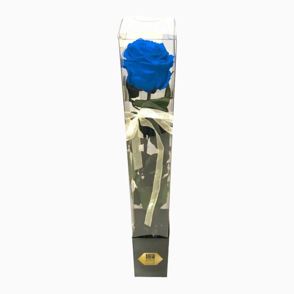 Rosa Azul Preservada