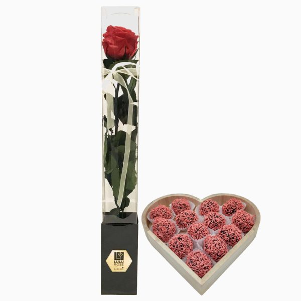 Rosa Preservada Com Brigadeiros