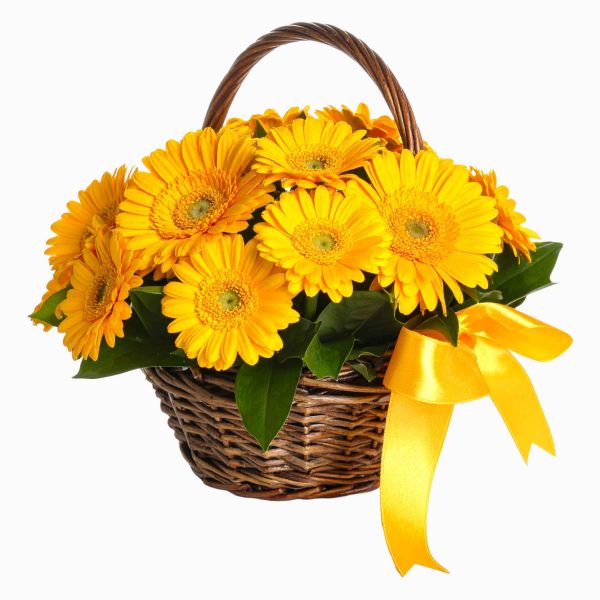 Cesto De Gerberas Amarelas