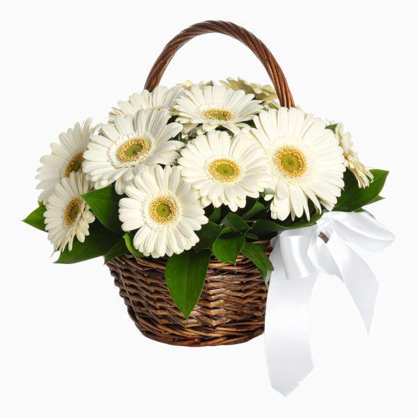 Cesto De Gerberas Brancas