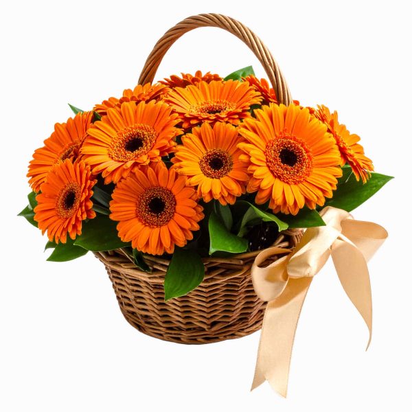 Cesto De Gerberas Laranja