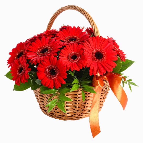Cesto De Gerberas Vermelhas