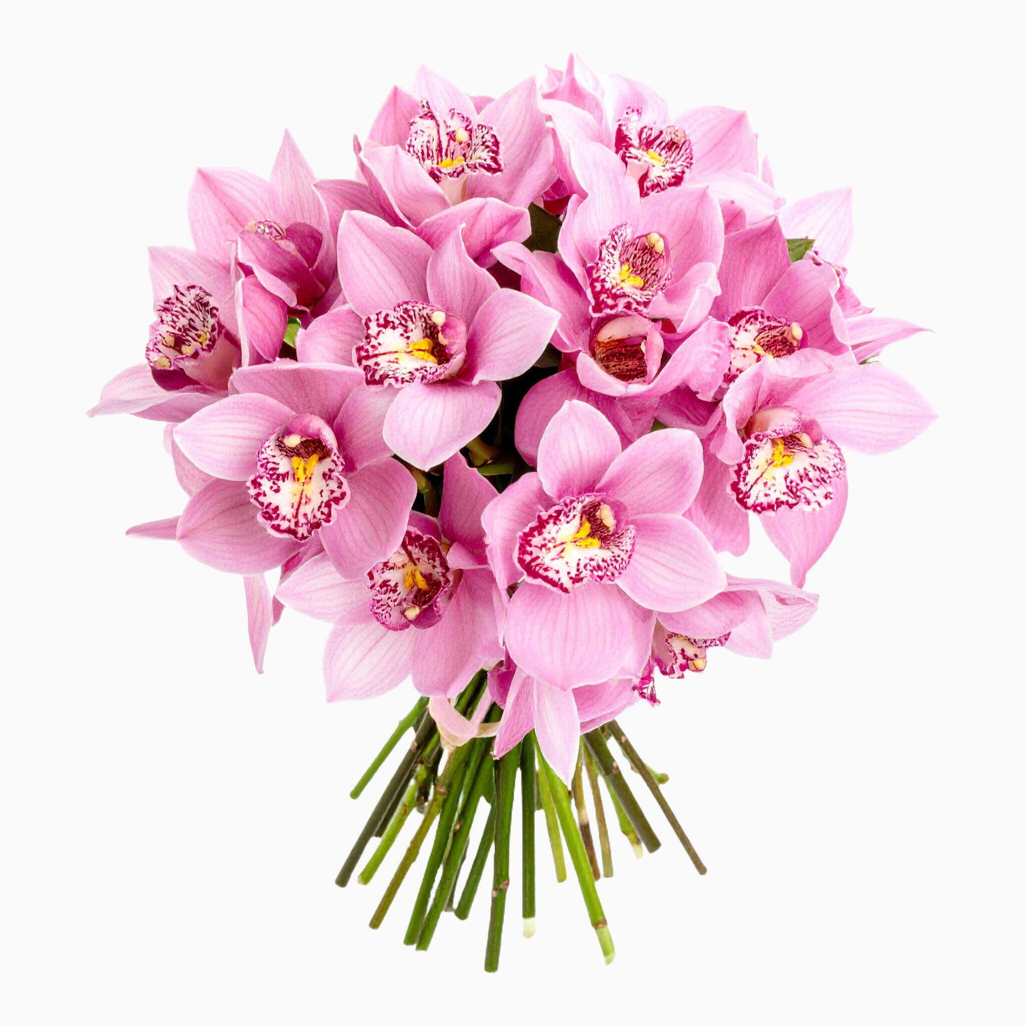 Ramo De Orquídeas Cor De Rosa